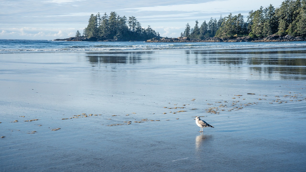 The Quiet Retreats of Canada’s Vancouver Island